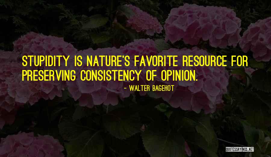Hirotaka Wotakoi Quotes By Walter Bagehot Hirotaka Wotakoi Quotes By Walter Bagehot