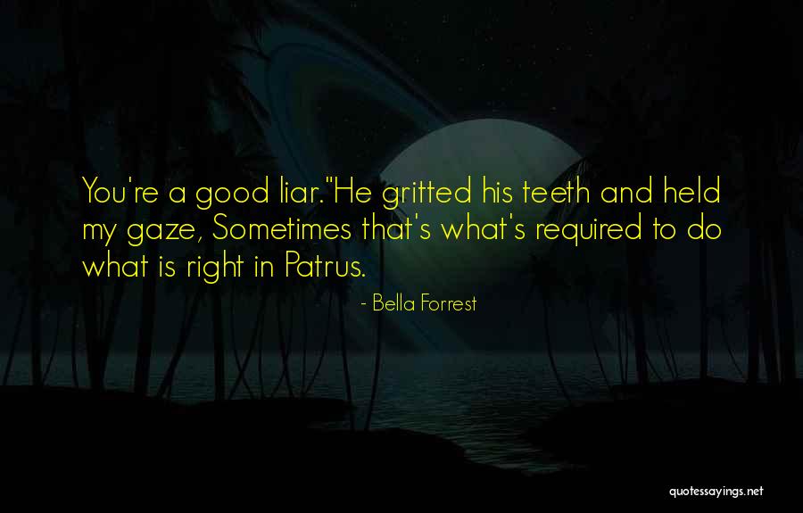 Hiroyasu Mizuno Quotes By Bella Forrest Hiroyasu Mizuno Quotes By Bella Forrest