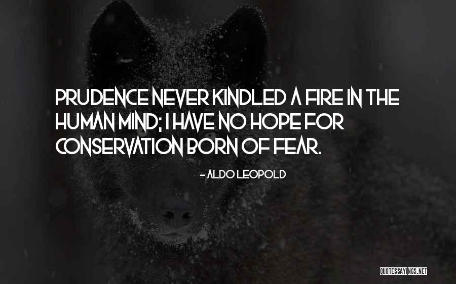 Hirscher Gs Quotes By Aldo Leopold Hirscher Gs Quotes By Aldo Leopold