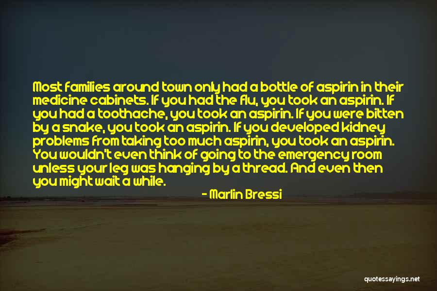 Hirschhorn Artist Quotes By Marlin Bressi Hirschhorn Artist Quotes By Marlin Bressi