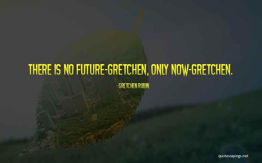 Hirschkeule Quotes By Gretchen Rubin Hirschkeule Quotes By Gretchen Rubin