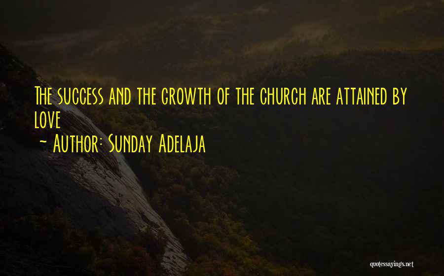 Hirtle Quotes By Sunday Adelaja