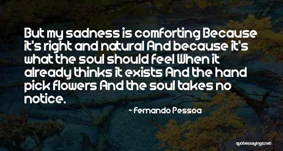 Hirvio Quotes By Fernando Pessoa Hirvio Quotes By Fernando Pessoa