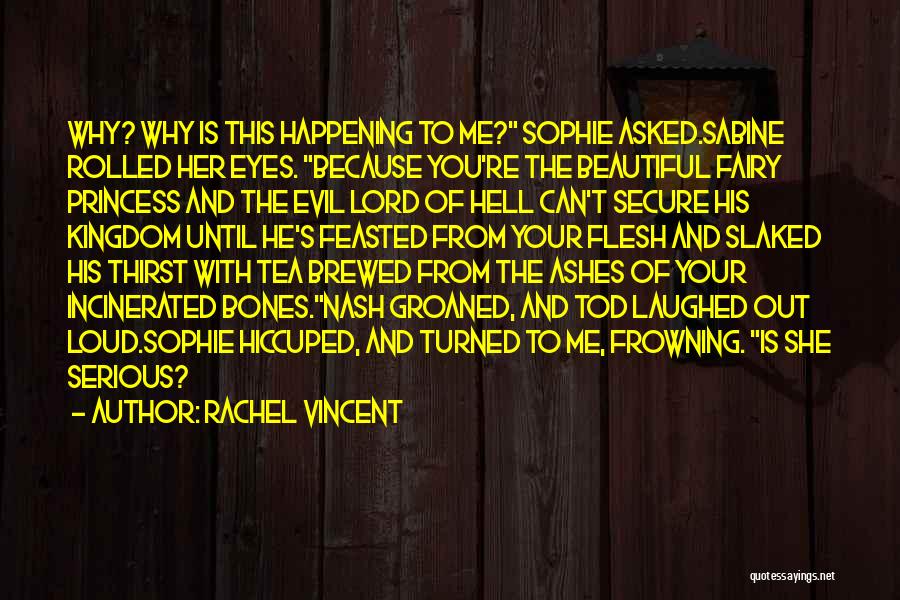 His Beautiful Soul Quotes By Rachel Vincent