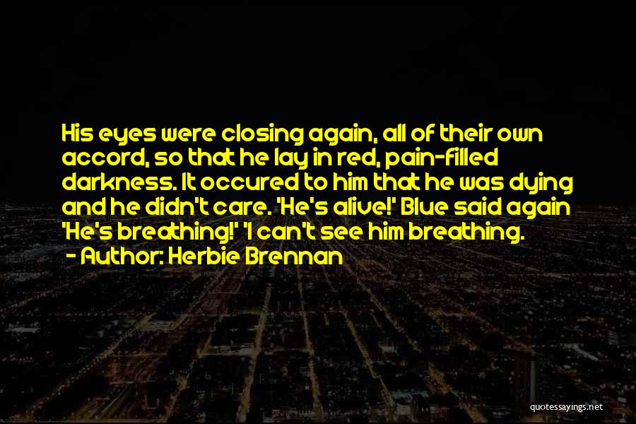 His Blue Eyes Quotes By Herbie Brennan