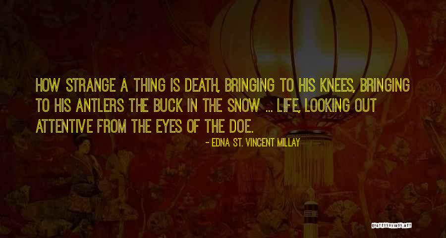His Doe Her Buck Quotes By Edna St. Vincent Millay His Doe Her Buck Quotes By Edna St. Vincent Millay