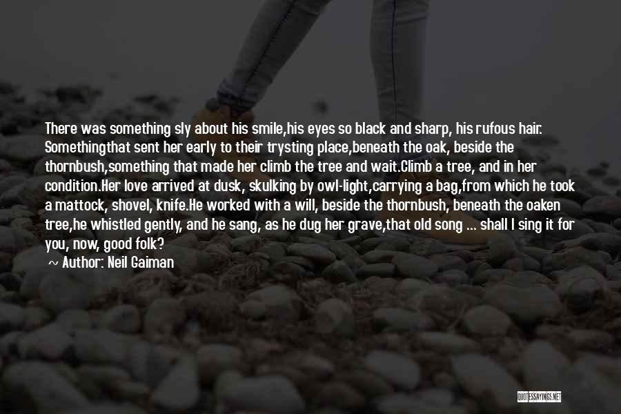 His Eyes And Smile Quotes By Neil Gaiman