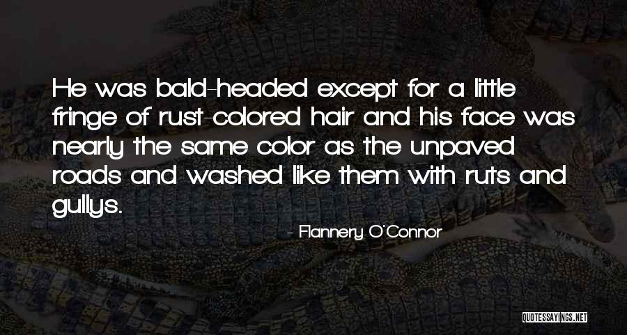 His Face Quotes By Flannery O'Connor His Face Quotes By Flannery O'Connor