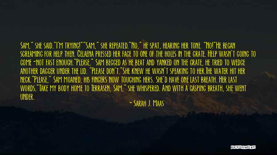 His Face Quotes By Sarah J. Maas His Face Quotes By Sarah J. Maas
