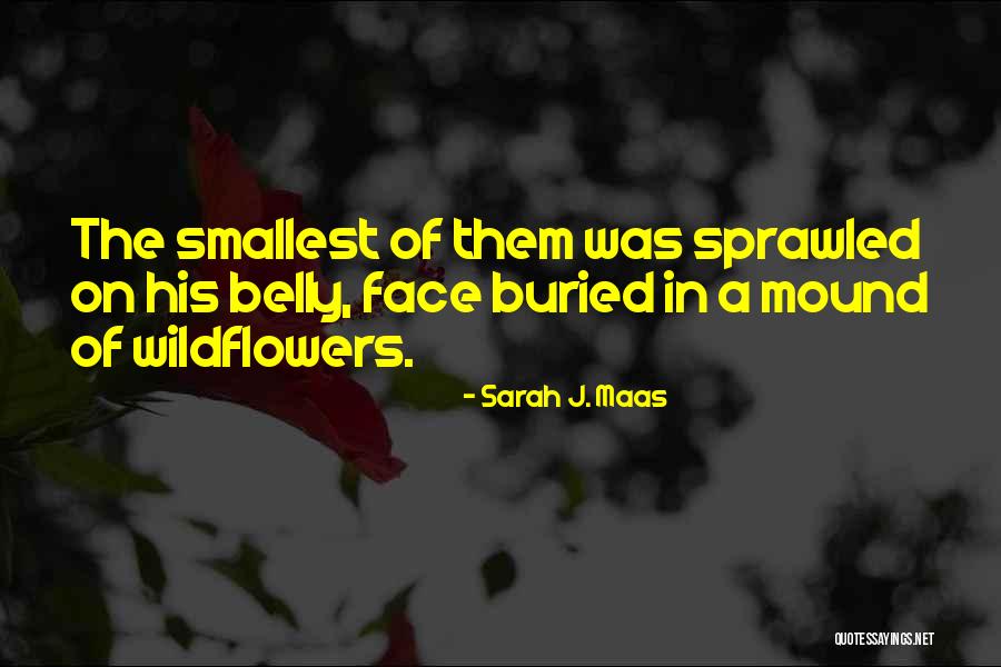 His Face Quotes By Sarah J. Maas His Face Quotes By Sarah J. Maas