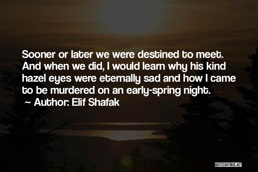 His Hazel Eyes Quotes By Elif Shafak