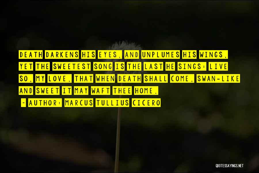 His Last Love Quotes By Marcus Tullius Cicero