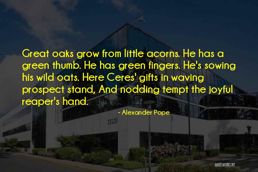 His Little Hands Quotes By Alexander Pope His Little Hands Quotes By Alexander Pope
