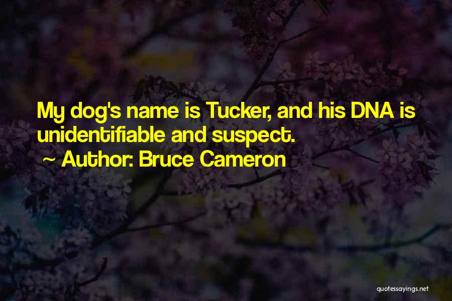 His Name Quotes By Bruce Cameron