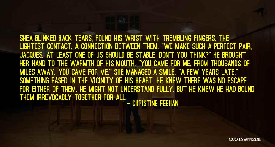 His Perfect Smile Quotes By Christine Feehan His Perfect Smile Quotes By Christine Feehan