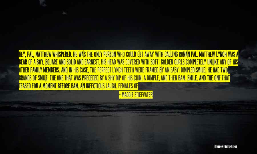 His Perfect Smile Quotes By Maggie Stiefvater His Perfect Smile Quotes By Maggie Stiefvater