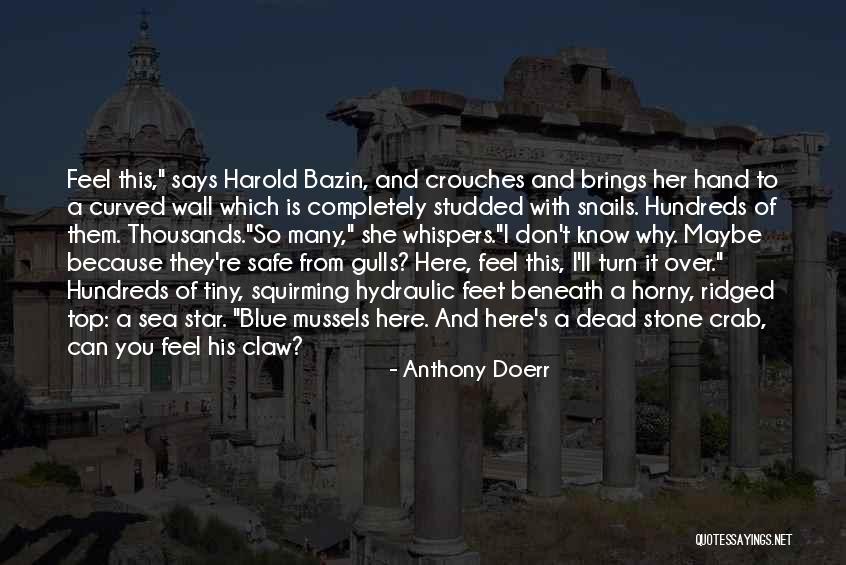 His Tiny Feet Quotes By Anthony Doerr His Tiny Feet Quotes By Anthony Doerr