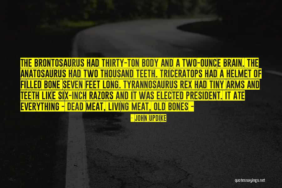 His Tiny Feet Quotes By John Updike His Tiny Feet Quotes By John Updike