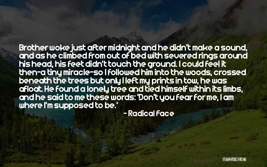 His Tiny Feet Quotes By Radical Face His Tiny Feet Quotes By Radical Face