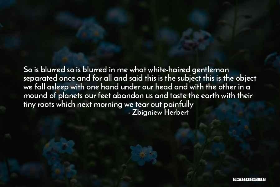 His Tiny Feet Quotes By Zbigniew Herbert His Tiny Feet Quotes By Zbigniew Herbert