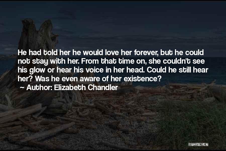 His Voice Love Quotes By Elizabeth Chandler