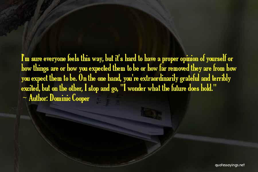 Hisayoshi Kato Quotes By Dominic Cooper