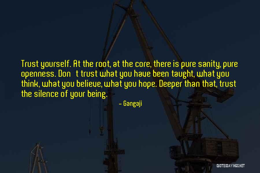 Hiscox Inc Quotes By Gangaji Hiscox Inc Quotes By Gangaji