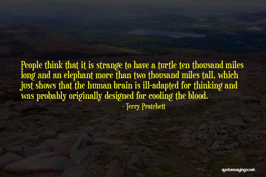 Hisey Wolf Quotes By Terry Pratchett Hisey Wolf Quotes By Terry Pratchett