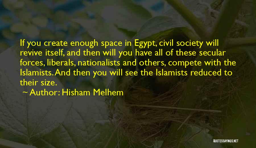 Hisham Melhem Quotes 1367557