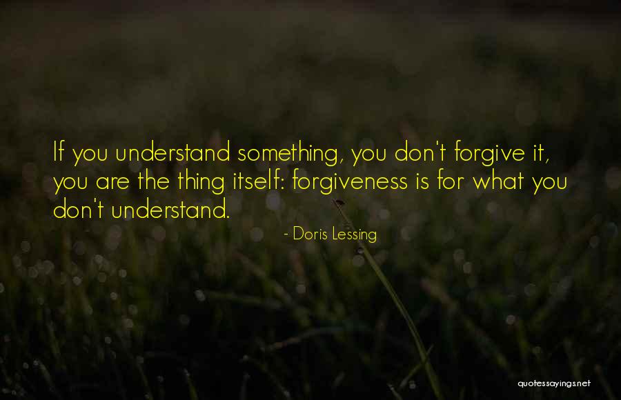 Hissar Airport Quotes By Doris Lessing Hissar Airport Quotes By Doris Lessing