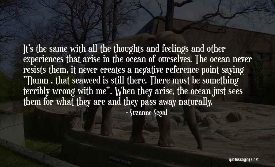 Hissar Spa Quotes By Suzanne Segal Hissar Spa Quotes By Suzanne Segal