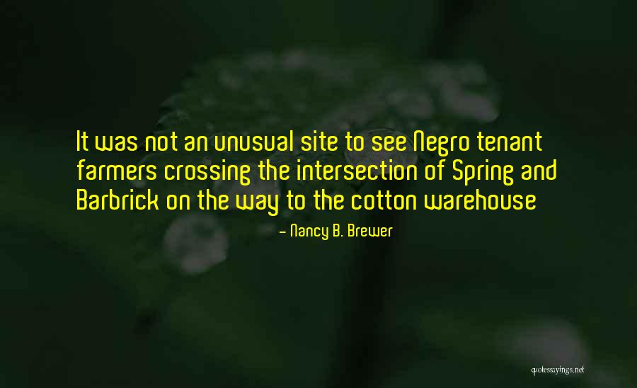 Historical Civil War Quotes By Nancy B. Brewer Historical Civil War Quotes By Nancy B. Brewer