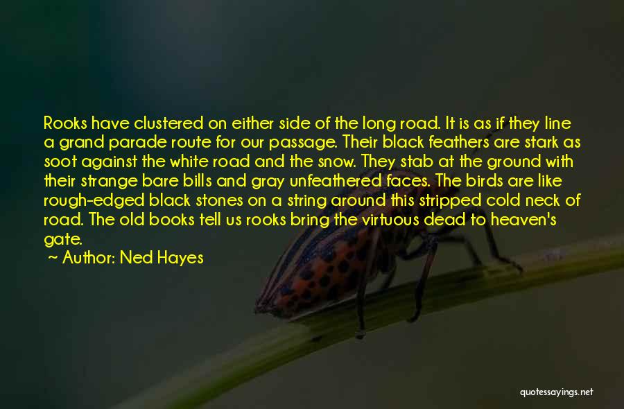 Historical Fiction Books Quotes By Ned Hayes