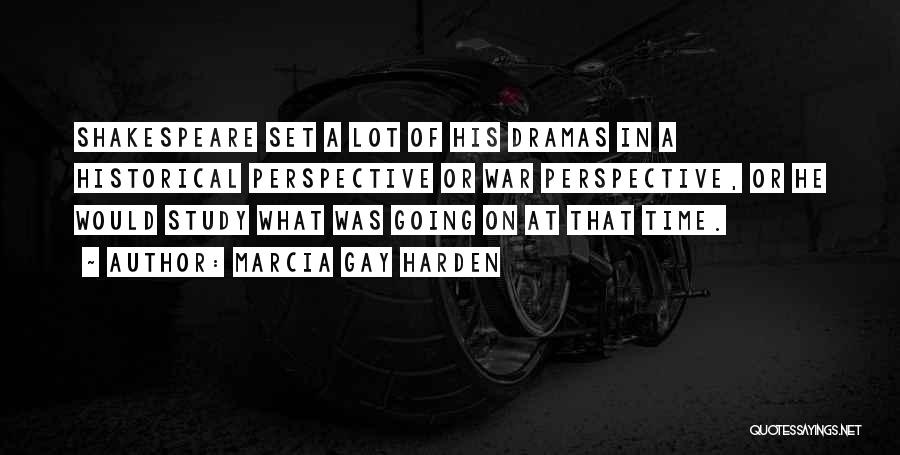 Historical Perspective Quotes By Marcia Gay Harden