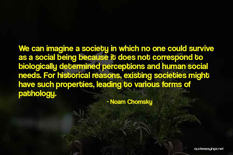 Historical Societies Quotes By Noam Chomsky Historical Societies Quotes By Noam Chomsky