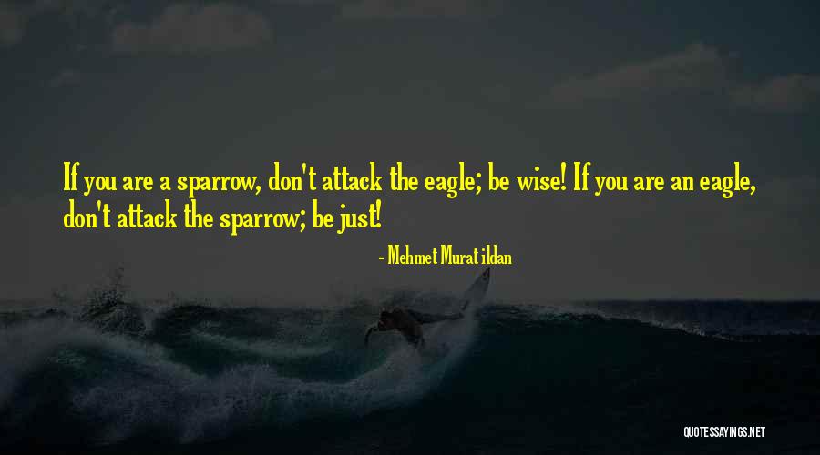 Historicas Unam Quotes By Mehmet Murat Ildan Historicas Unam Quotes By Mehmet Murat Ildan