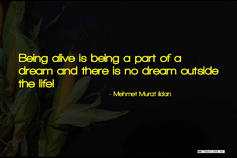 Historietas Largas Quotes By Mehmet Murat Ildan Historietas Largas Quotes By Mehmet Murat Ildan