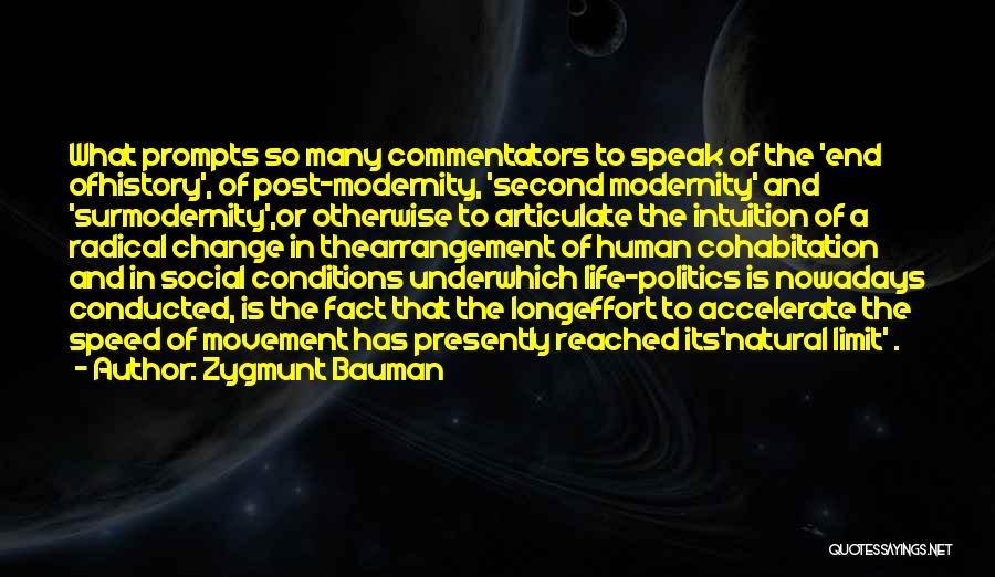 History And Change Quotes By Zygmunt Bauman