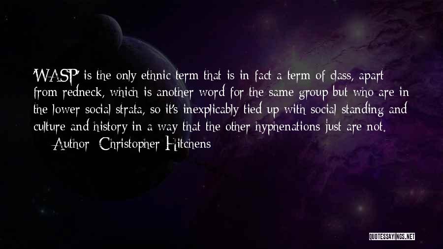 History And Culture Quotes By Christopher Hitchens