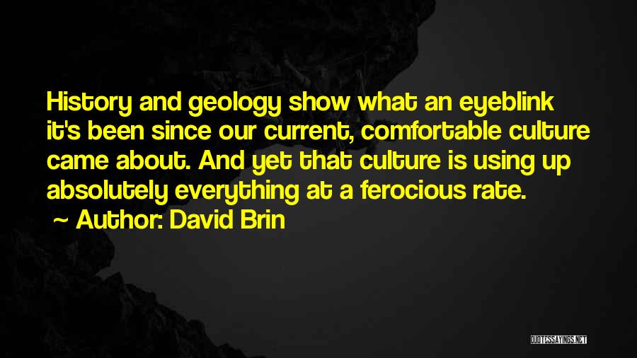 History And Culture Quotes By David Brin