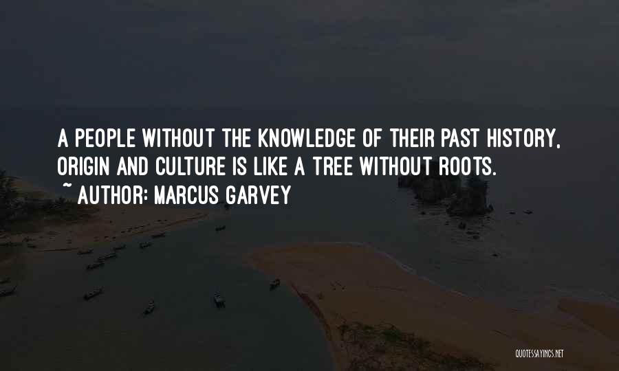 History And Culture Quotes By Marcus Garvey