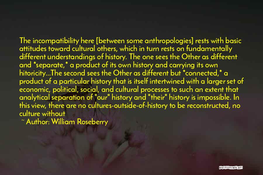 History And Culture Quotes By William Roseberry