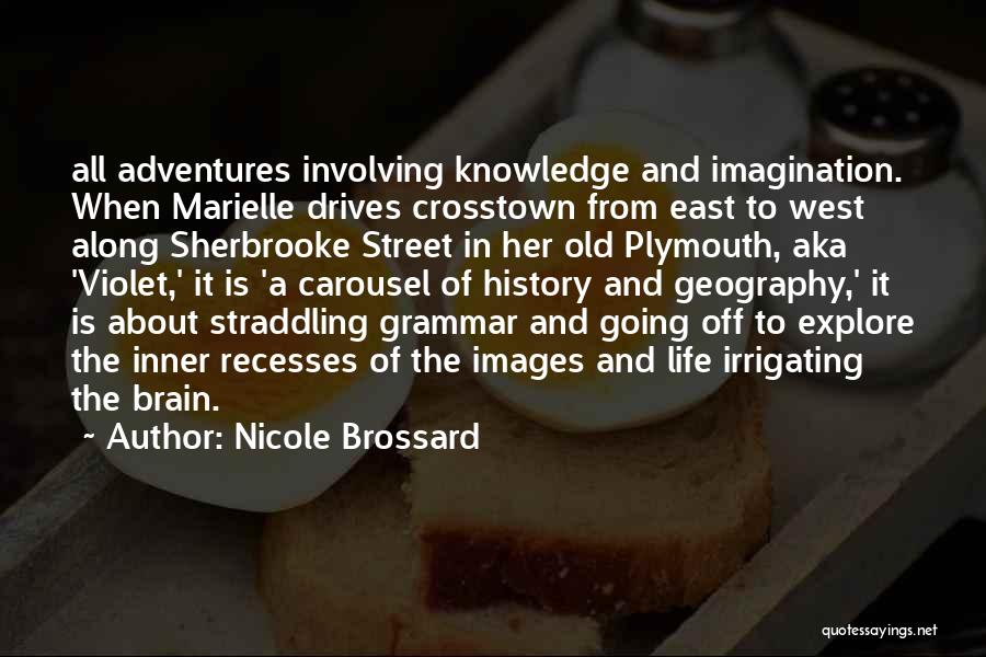 History And Geography Quotes By Nicole Brossard