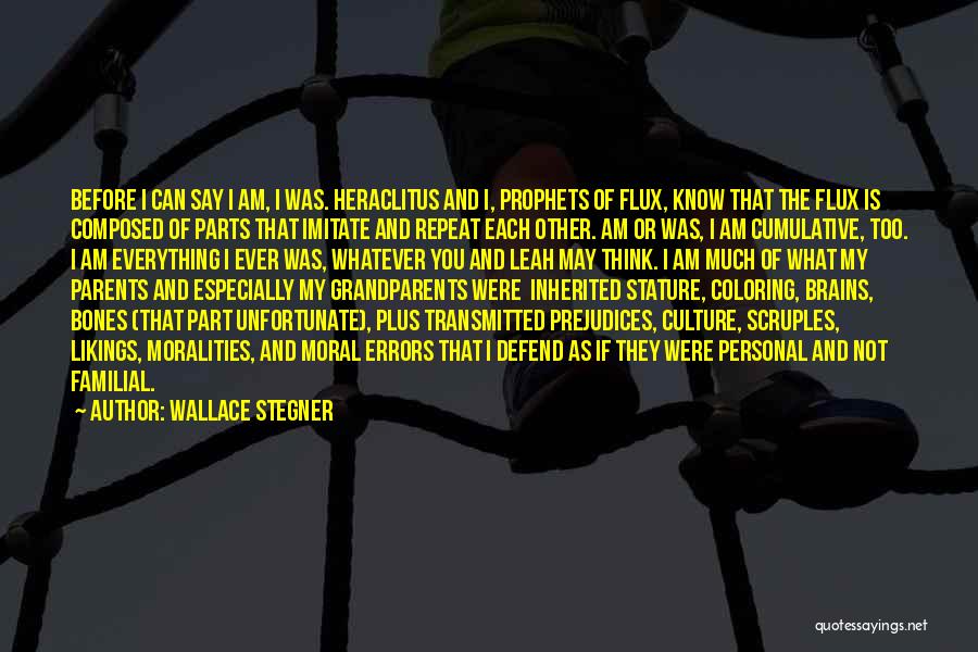 History And Identity Quotes By Wallace Stegner