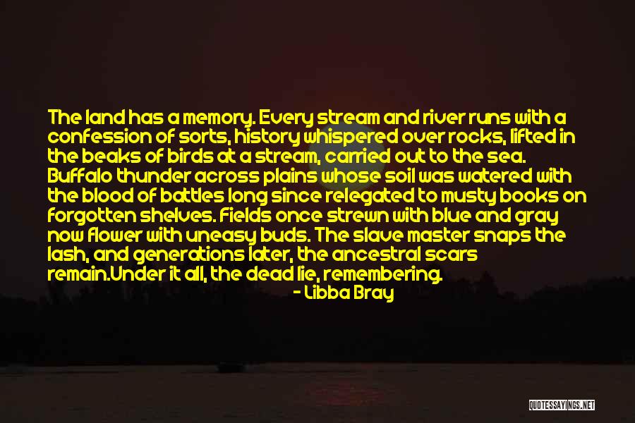 History And Memory Quotes By Libba Bray History And Memory Quotes By Libba Bray