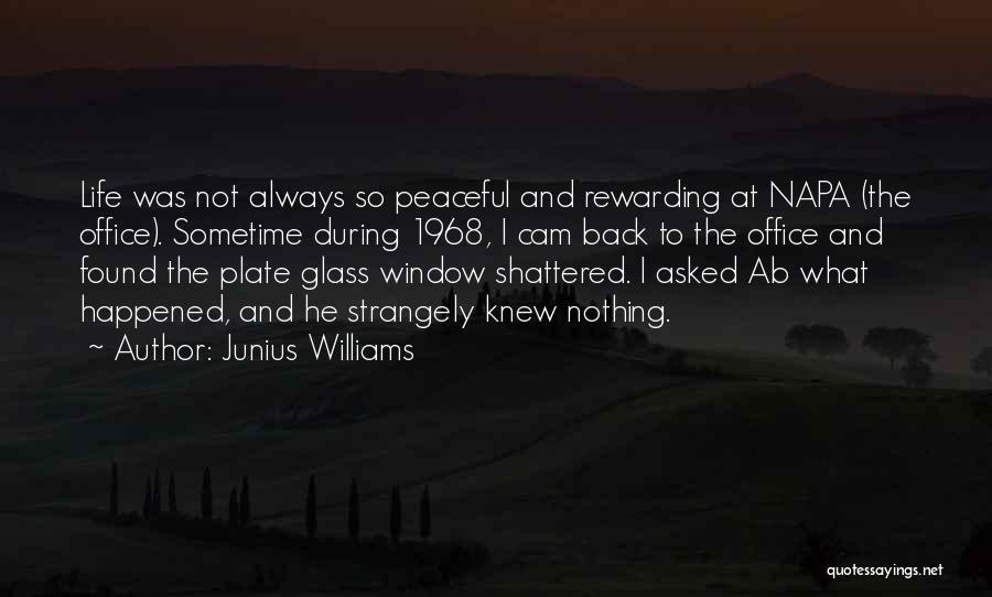 History And Politics Quotes By Junius Williams