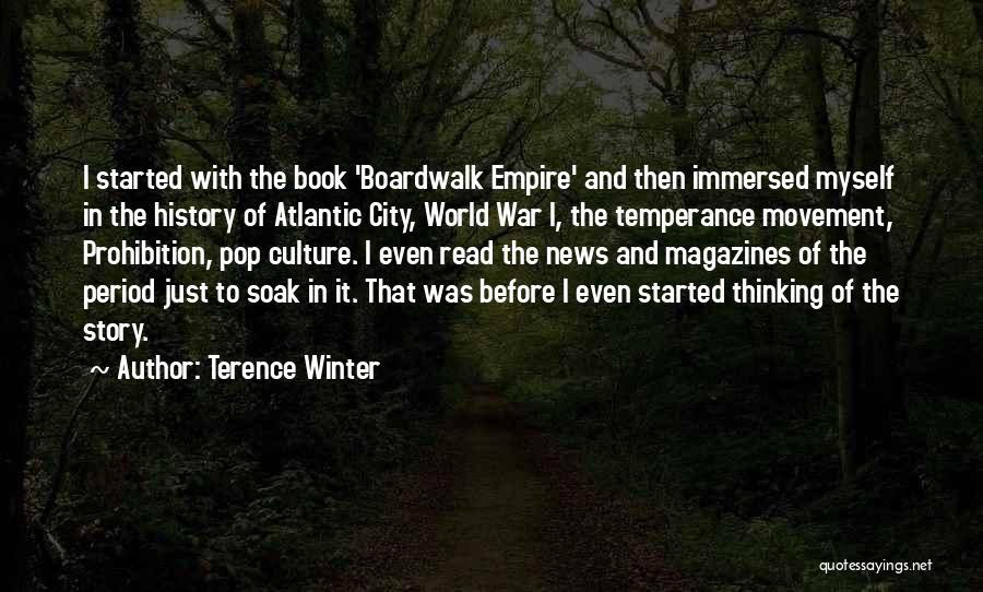 History And Pop Culture Quotes By Terence Winter