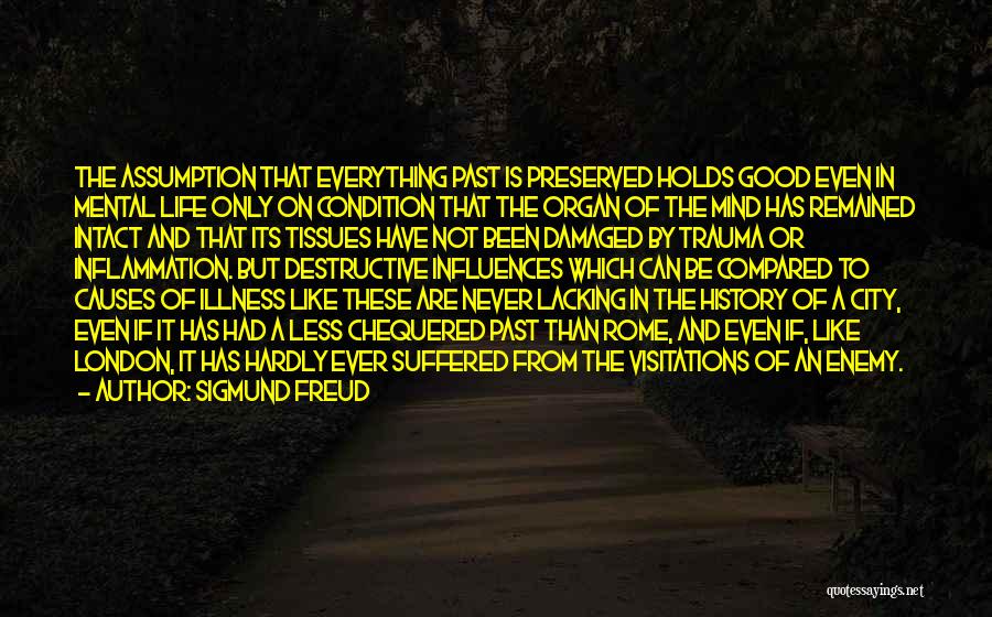 History And The Past Quotes By Sigmund Freud