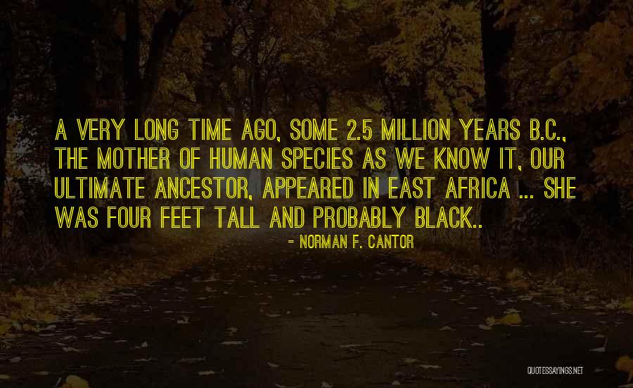 History And Time Quotes By Norman F. Cantor History And Time Quotes By Norman F. Cantor