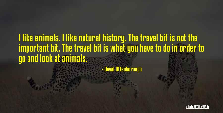 History And Travel Quotes By David Attenborough History And Travel Quotes By David Attenborough
